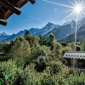 Heron Les Houches